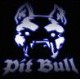 pittbull's picture pittbull's picture